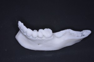 DSC３D1
